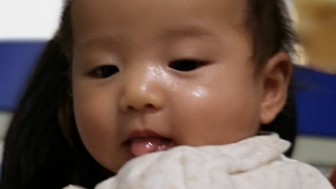 『大変だったのは多分知らないところに行ったりゅうりゅうも、だねぇ・・・』