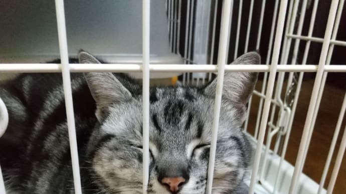 贈り物って難しい。