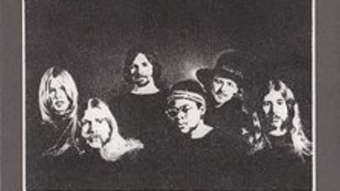 Idle Wild South (Deluxe Edition) / The Allman Brothers Band