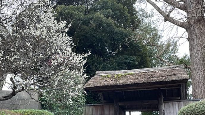 春だねぇ