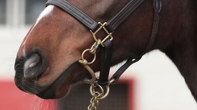 【ミスペンバリー'19】狙ってみたい種牡馬入り(^^ゞ