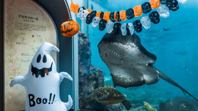 海中水族船アクアドームペリー号の大水槽 前編