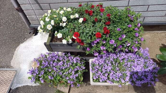 花のある暮らし