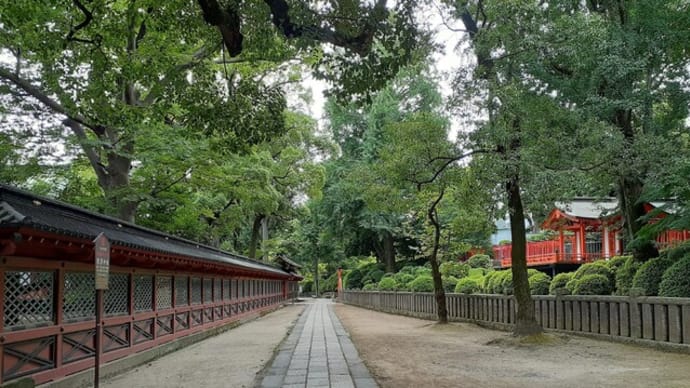 光射す根津神社西参道