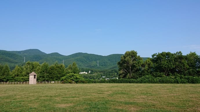 宮丘公園 2019年7月(1)