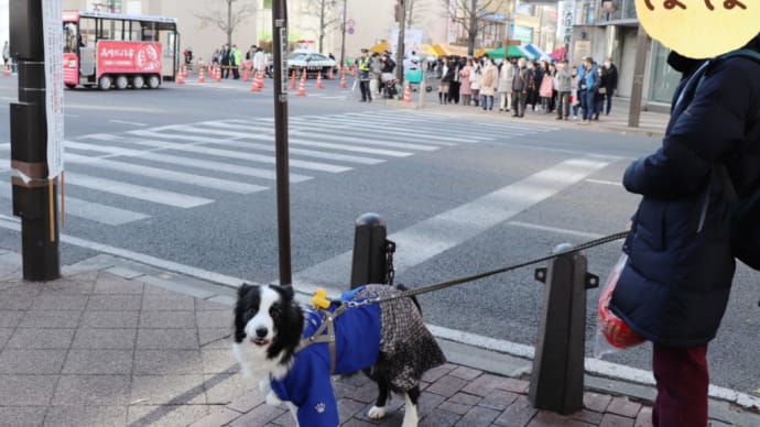 高崎だるま市2025