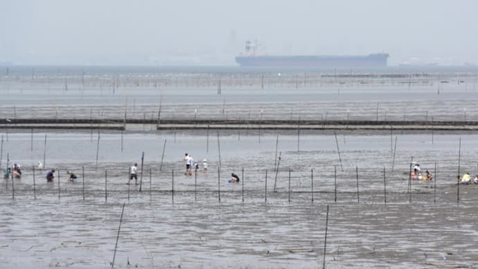 木更津海岸の潮干狩り-ようやく始まりました。