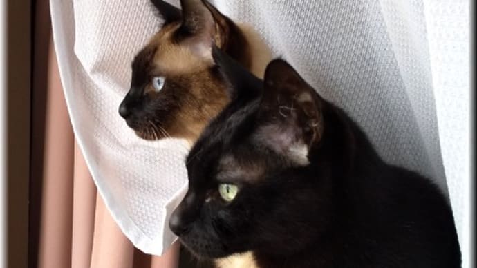 1抜け