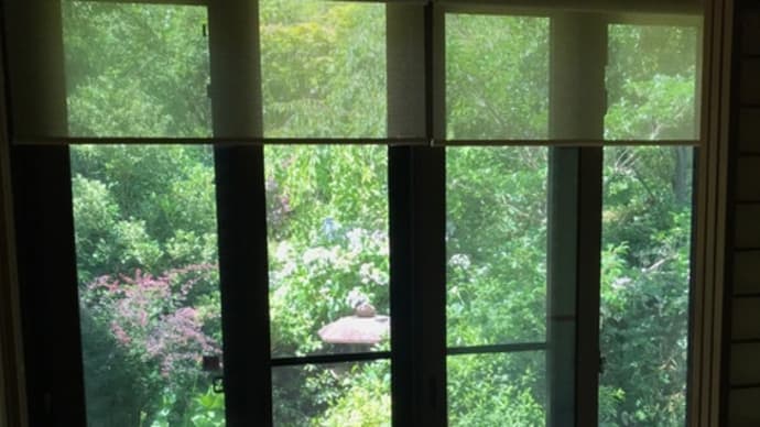 早すぎる梅雨明けに熱中症もどき