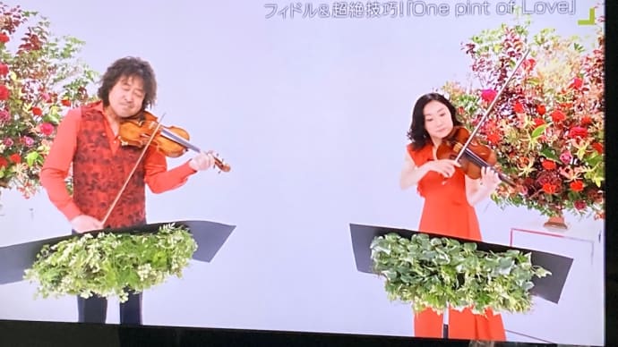 葉加瀬さんのバイオリン