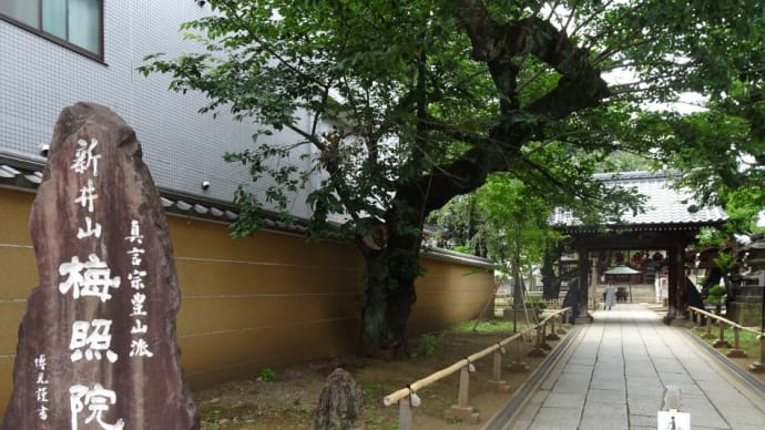 東京都内にある弘法大師ゆかりの寺院で構成された八十八箇所の霊場！