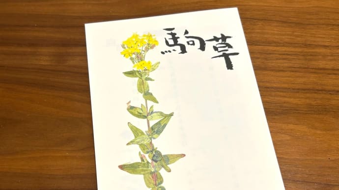 2025年5月1日(木) やっぱり一筋縄ではいかない我が病…
