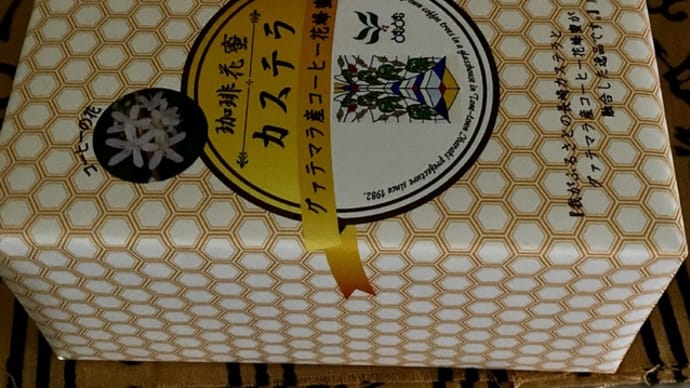 アイスコーヒーをどうですか