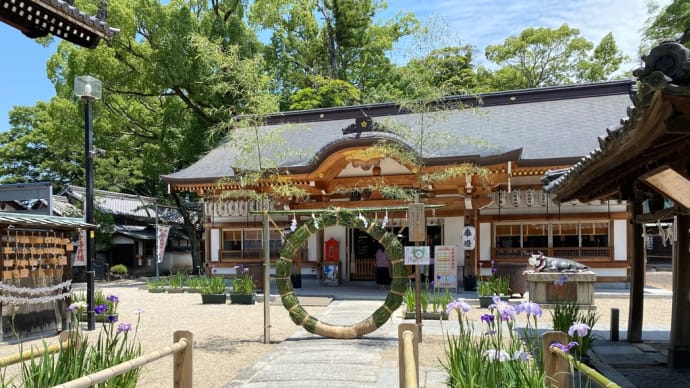 夏至の日に