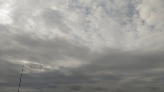 3月も終わりだというのに