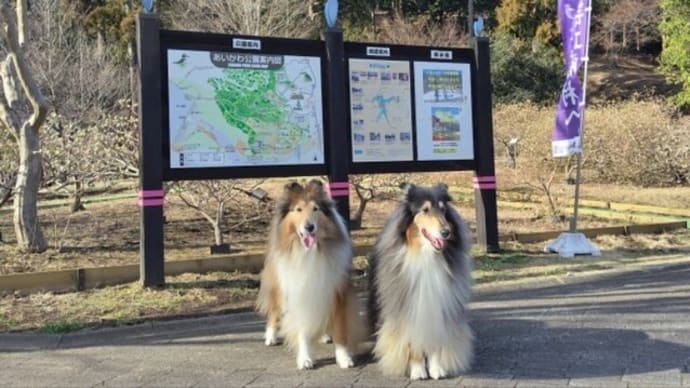 あいかわ公園、行きました🙌