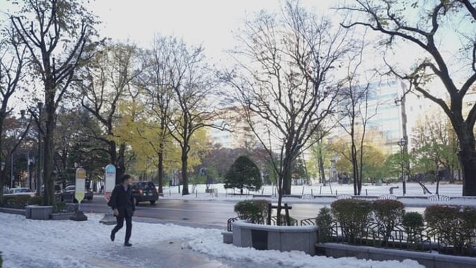 札幌 根雪の大通り公園の朝散歩