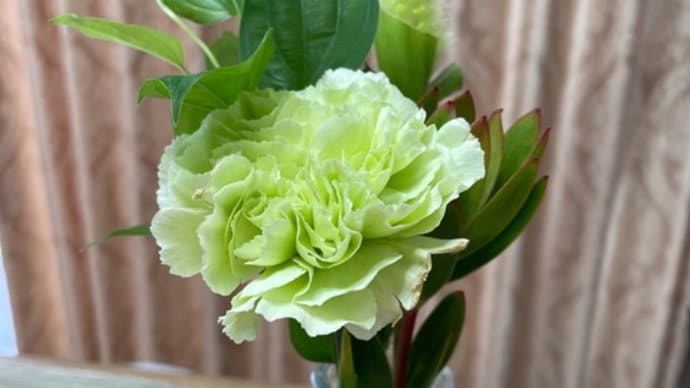 7月19日のお花♪