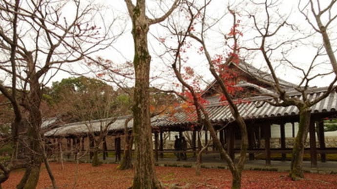東福寺、冬の散り紅葉