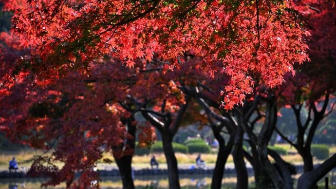 今日のこども自然公園