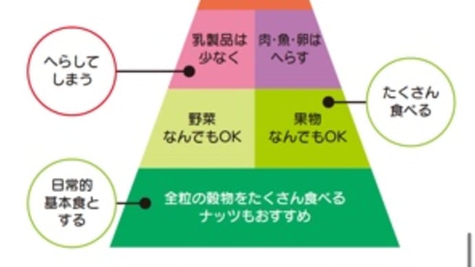 【IBS記録】気難しい我が大腸