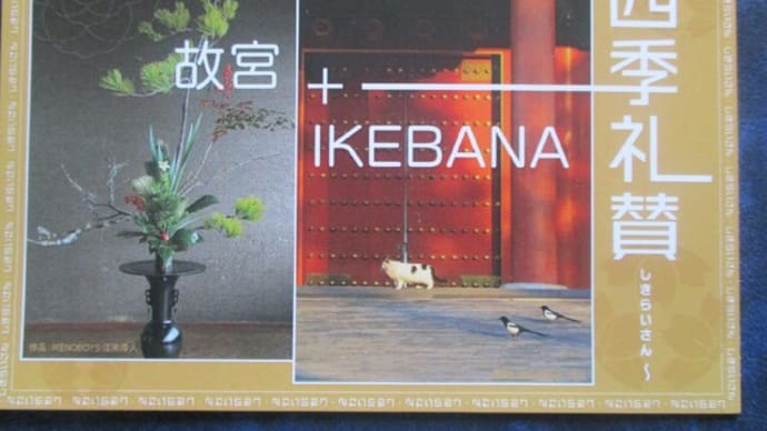 明日がある 家事あとまわし ぶらぶらり 故宮の四季・生け花展