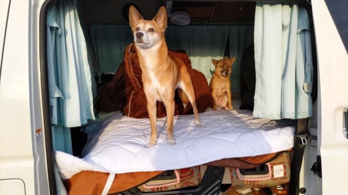 冬休み犬連れ車中泊の旅・1日目「道の駅 瀬戸農業公園」