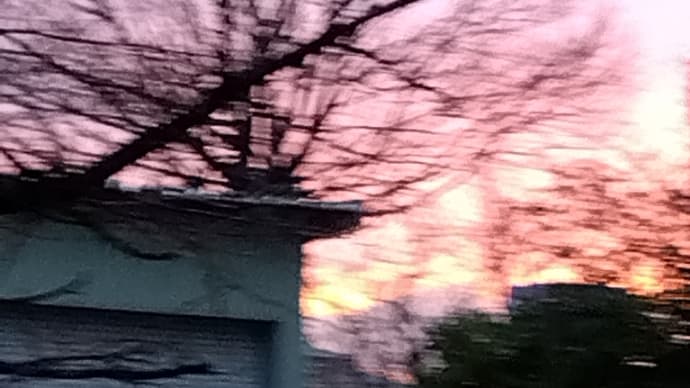 🌸鳥栖成田山不動院初代住職🍀原田昌信尼さま🍓のご霊夢ですよ🌸
