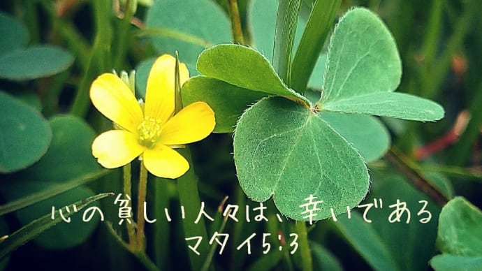 満希子先生の聖書研究会✨📖💗