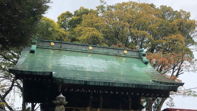 おぉ寒い 雨が降ってて なお寒い☔️