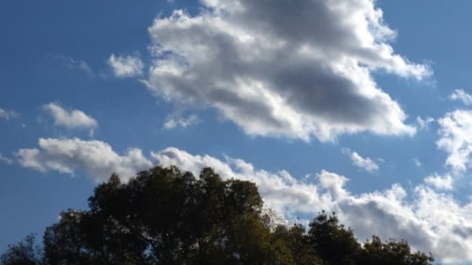 久々の青空と雲とお日さまのコラボレーション〜の巻