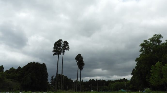 母 元気でほっとしましたが・・・