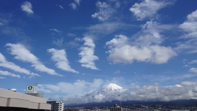 雨上がりの春