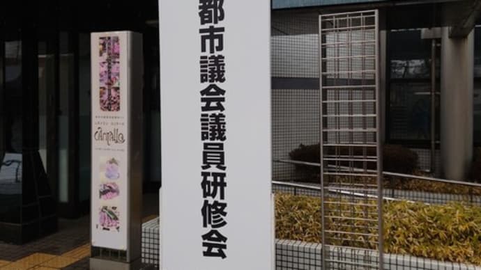 東京都市議会議員研修会⛄(2/5)
