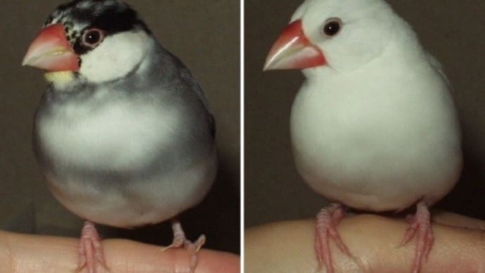 青ちゃん絶賛発情中…
