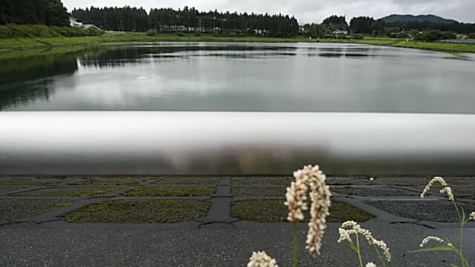 村上鬼城/山川の水裂けて飛ぶ野分(のわき)かな