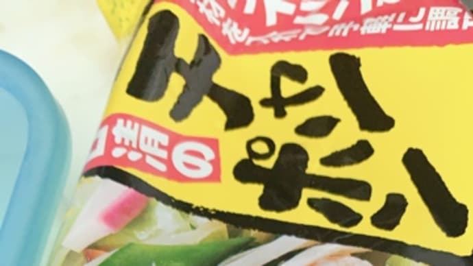 ❤️239❤️おうちで長崎チャンポンと宅急便モンモン❤️