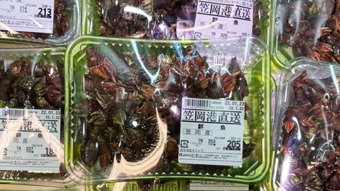 「亀の手」は笠岡のスーパーで普通に売っている
