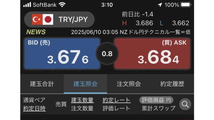 トルコリラ 2025年6月10日