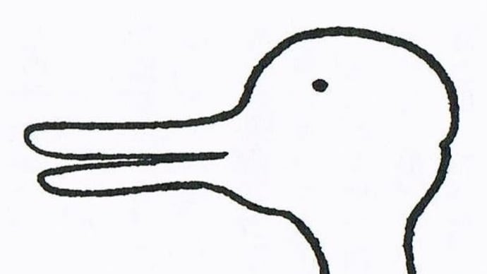 シャストロウの図のように、見方を、変えて見ると、色々な見え方が〜ヒントになるよねの巻