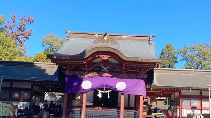 今日は鹿児島神宮からのざぼんラーメン。