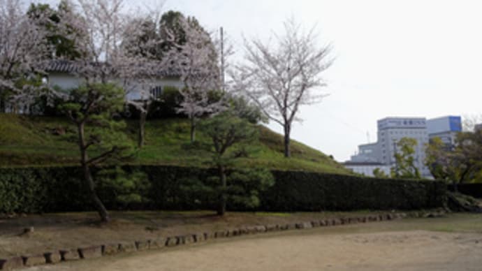 福山城桜まつり（令和５年３月２７日）