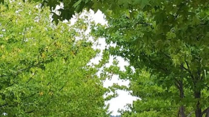 田舎で過ごした7日間