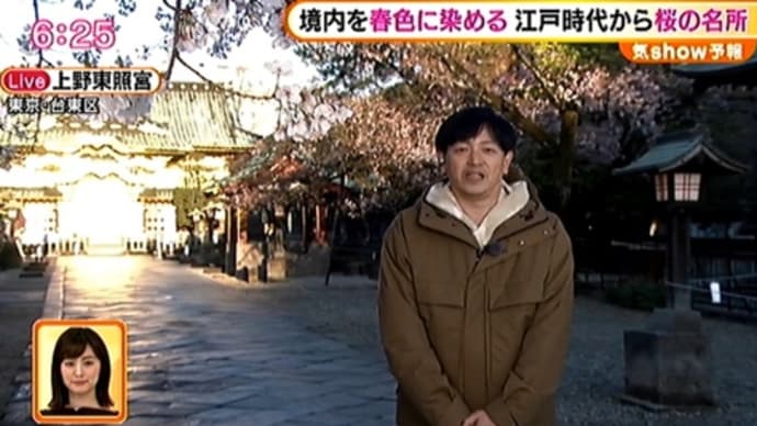 上野東照宮と旧寛永寺五重塔