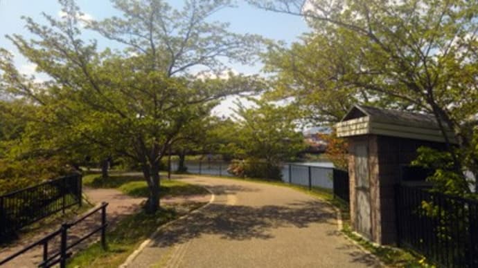 睡眠不足