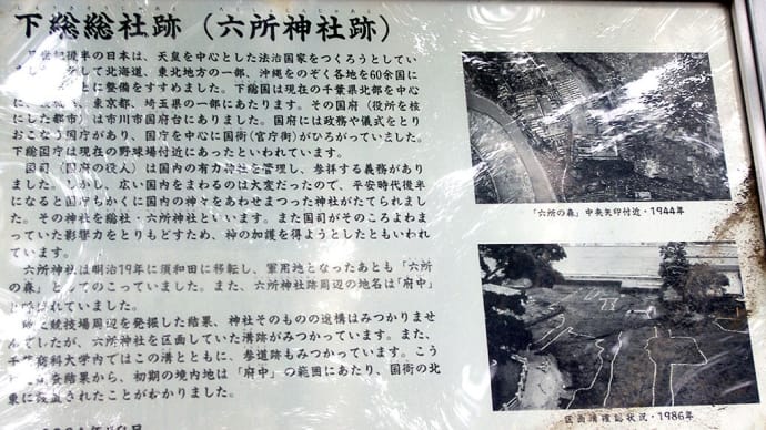 下総国総社跡｜千葉県市川市　～立派なケヤキの木が往時の神域を示す～