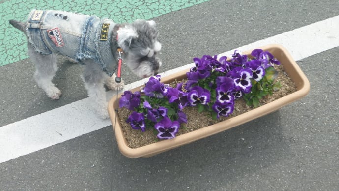 道の駅『もっくる新城』