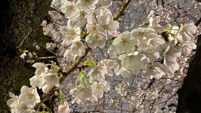 詐欺も命も家族の絆