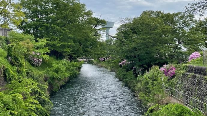 羽村の堰