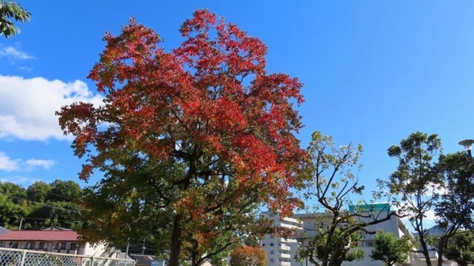 里の秋